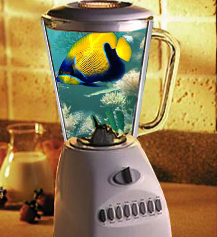 ミキサーの中の熱帯魚.jpg